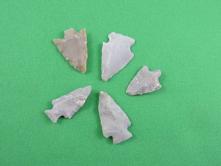 Image for ARROWHEADS AND ANTLERS