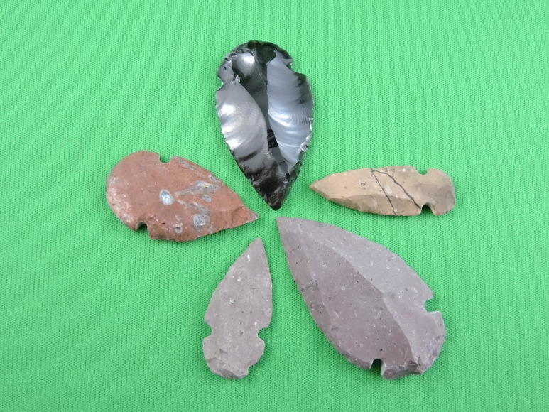 Image for ARROWHEADS AND ANTLERS