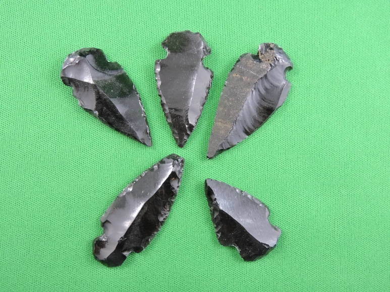 Image for ARROWHEADS AND ANTLERS