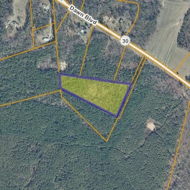 caroline delinquent tax