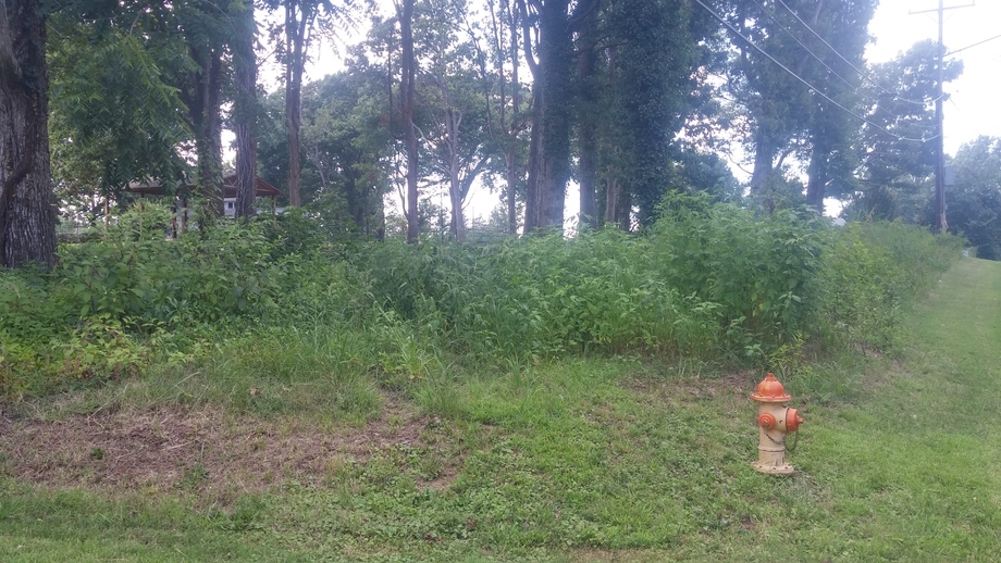 Image for 3.65+/- Acres With Home and Buildings