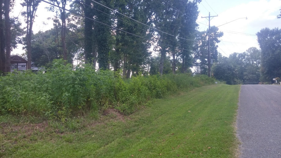 Image for 3.65+/- Acres With Home and Buildings