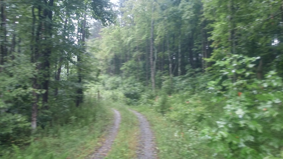 Image for 12 Acres in Cana, Virginia