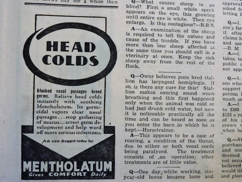 Image for NEWS PAPER COLLECTION VARIOUS DATES 1929-1943