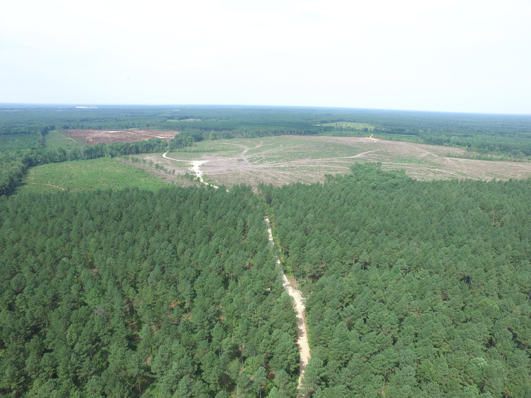 5 +/- Acre Timber Parcel--Sells to the Highest Bidder!! ONLINE ONLY ...