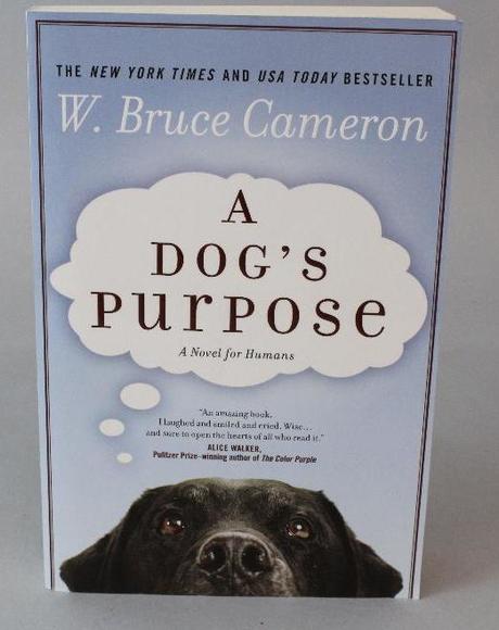 Image for Online Only - Books Made Into Movies 1: 8-28-17