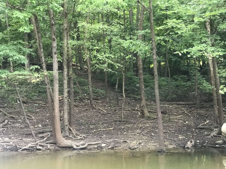 Image for 1.11 /- Acre Building Lot on Kerr Lake/Buggs Island Lake--ONLINE ONLY BIDDING!!