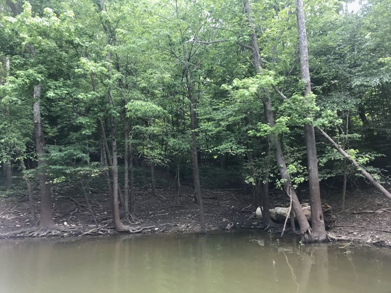 Image for 1.11 /- Acre Building Lot on Kerr Lake/Buggs Island Lake--ONLINE ONLY BIDDING!!