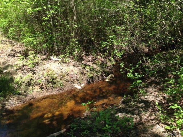 Image for ONLINE ONLY AUCTION--PICTURESQUE 13.98 +/- ACRES in HANOVER COUNTY, VA