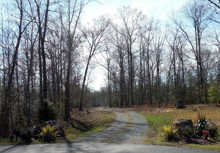 Image for ONLINE ONLY AUCTION--PICTURESQUE 13.98 +/- ACRES in HANOVER COUNTY, VA