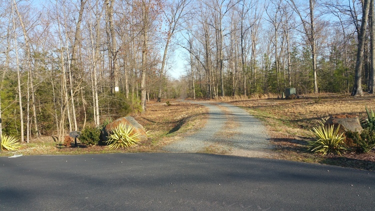 Image for ONLINE ONLY AUCTION--PICTURESQUE 13.98 +/- ACRES in HANOVER COUNTY, VA