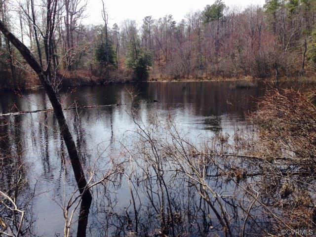 Image for ONLINE ONLY AUCTION--PICTURESQUE 13.98 +/- ACRES in HANOVER COUNTY, VA