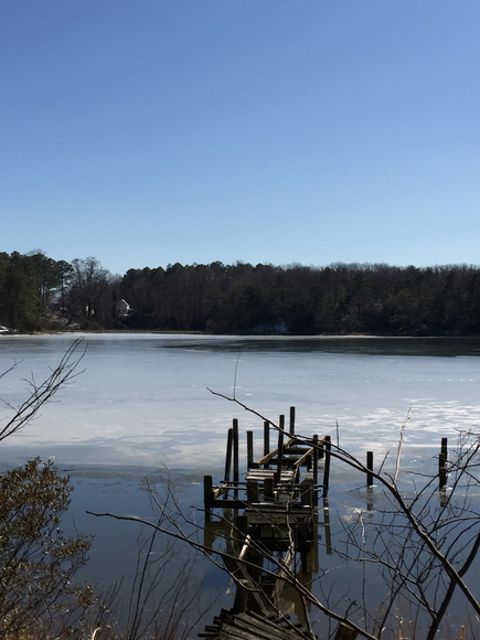 Image for .5 +/- ACRE WATERFRONT LOT on PARROTT'S CREEK