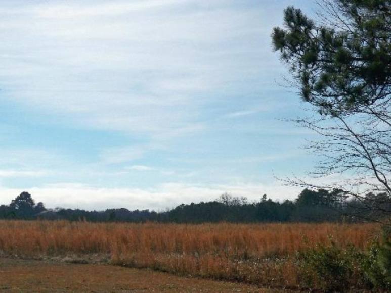 Image for 6 VIRGINIA HOMES & LAND PARCELS