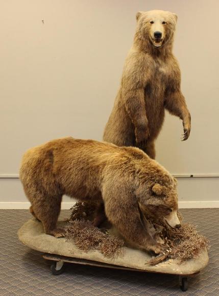 Image for Alderfer Simulcast: Firearms Auction: 9-19-17