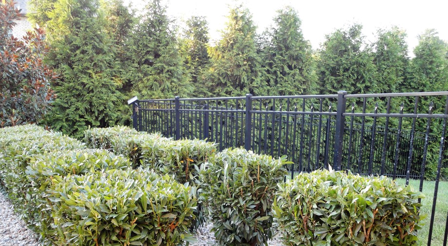 Image for 7227 Magnolia Valley Drive, Eagleville, TN  37060