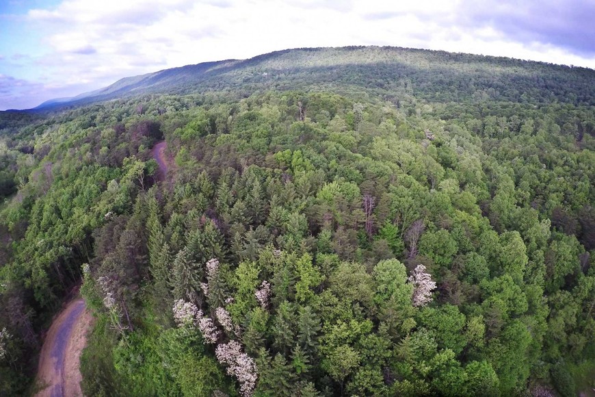 Image for 988 +/- ACRES in the FOOTHILLS of the ALLEGHENY MOUNTAINS OFFERED in 9 TRACTS