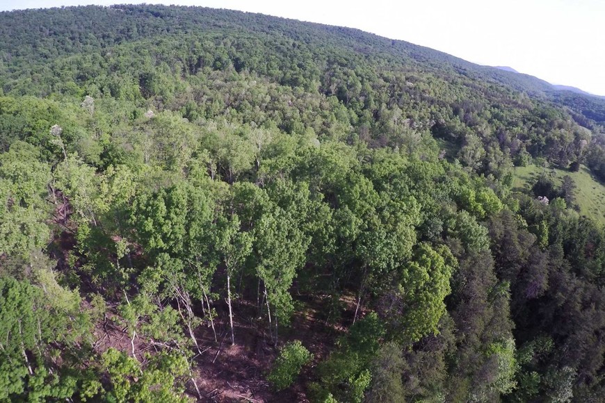 Image for 988 +/- ACRES in the FOOTHILLS of the ALLEGHENY MOUNTAINS OFFERED in 9 TRACTS