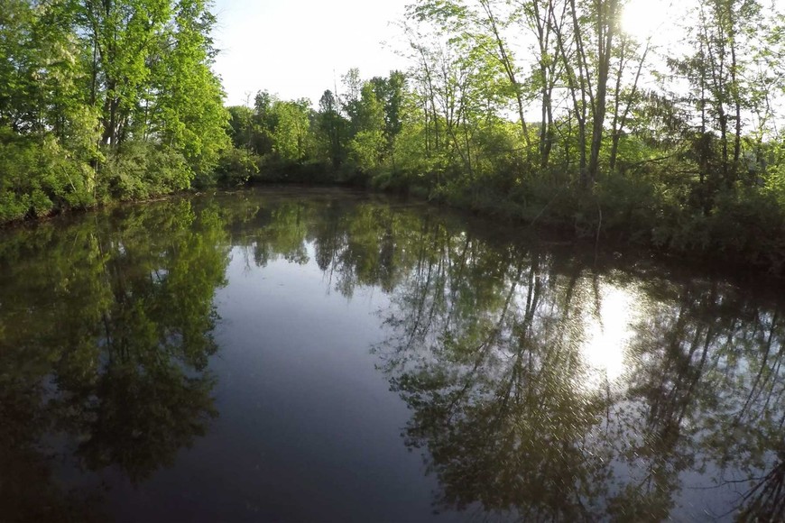 Image for 988 +/- ACRES in the FOOTHILLS of the ALLEGHENY MOUNTAINS OFFERED in 9 TRACTS