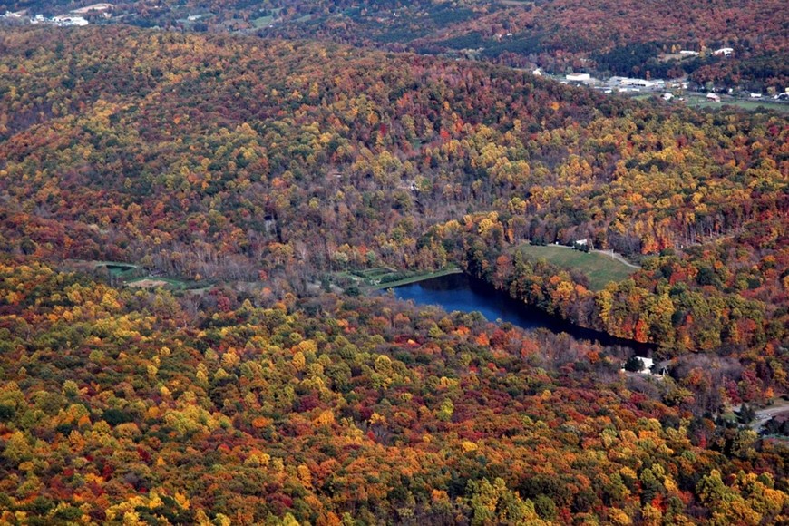 Image for 988 +/- ACRES in the FOOTHILLS of the ALLEGHENY MOUNTAINS OFFERED in 9 TRACTS