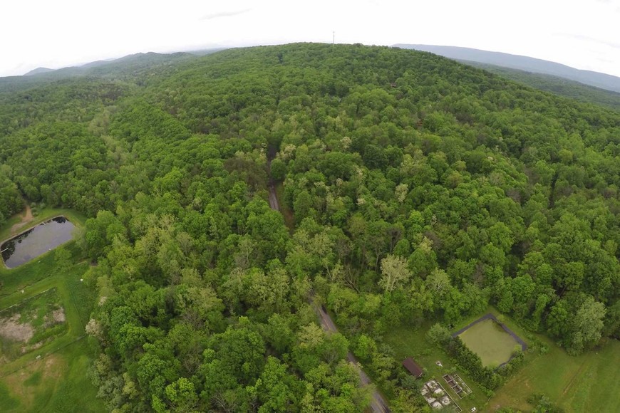 Image for 988 +/- ACRES in the FOOTHILLS of the ALLEGHENY MOUNTAINS OFFERED in 9 TRACTS