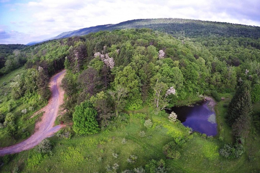 Image for 988 +/- ACRES in the FOOTHILLS of the ALLEGHENY MOUNTAINS OFFERED in 9 TRACTS