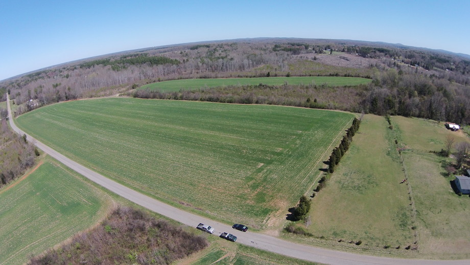 Image for 71 Acres + -Kern Carlton Farms