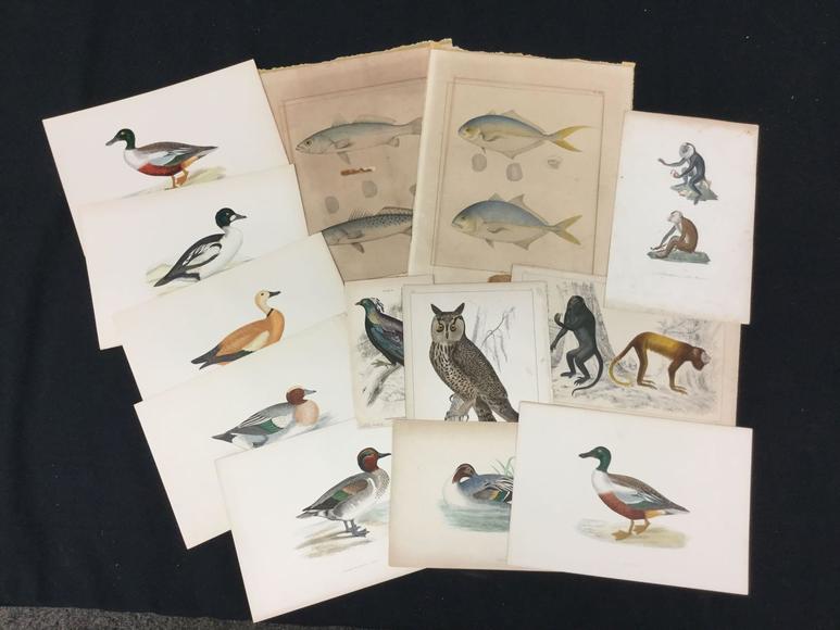 Image for Discovery Art Auction: 9-28-17