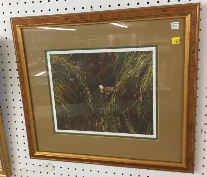 Image for Discovery Art Auction: 9-28-17