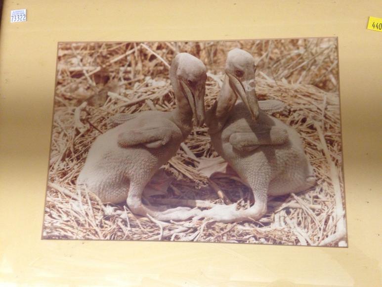 Image for Discovery Art Auction: 9-28-17