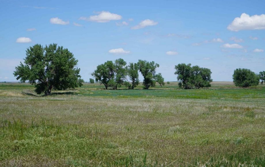 Image for Bowen Arrow Ranch—8,735 +/- Total Acres