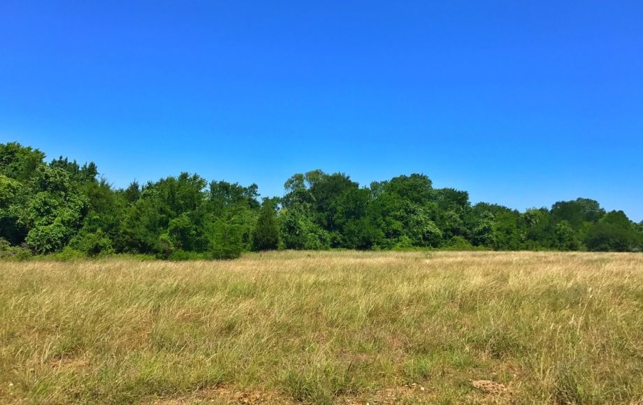 Image for 11,831 +/-  Acres of East Texas Farm & Ranch Land