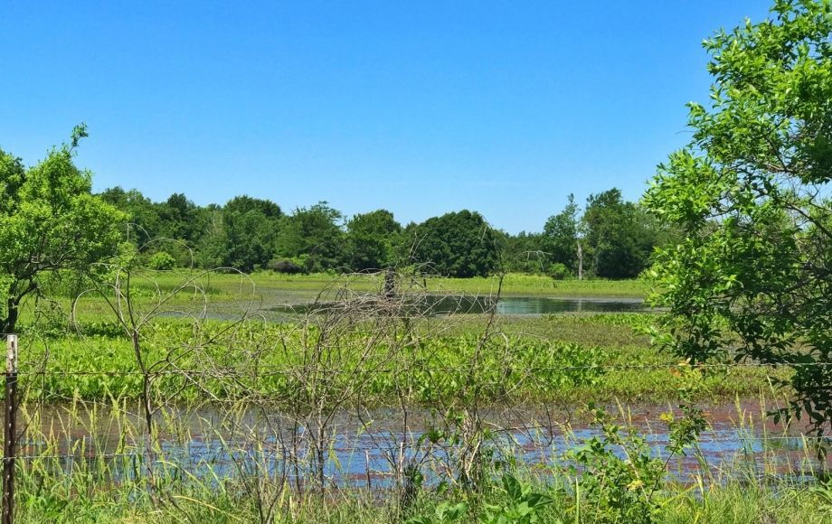 Image for 11,831 +/-  Acres of East Texas Farm & Ranch Land