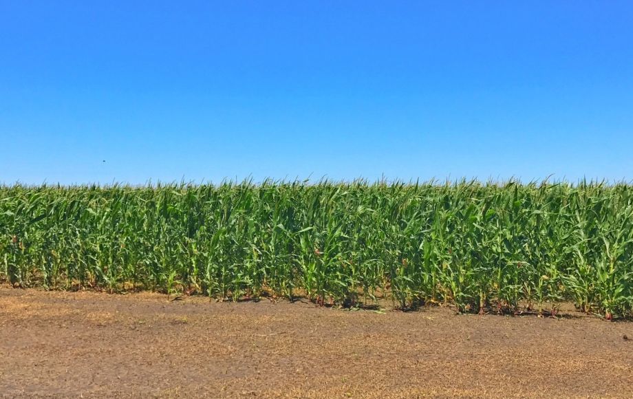 Image for 11,831 +/-  Acres of East Texas Farm & Ranch Land