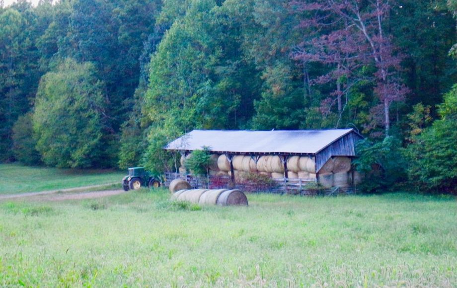 Image for 5 Adjacent Parcels in Culpeper County, VA—Offered in Individual Tracts & Combinations