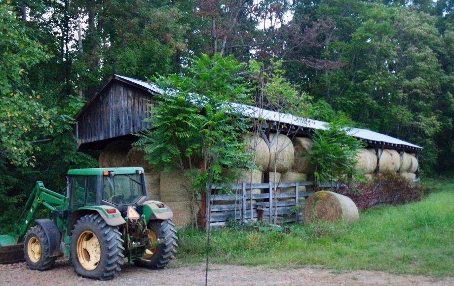 Image for 5 Adjacent Parcels in Culpeper County, VA—Offered in Individual Tracts & Combinations