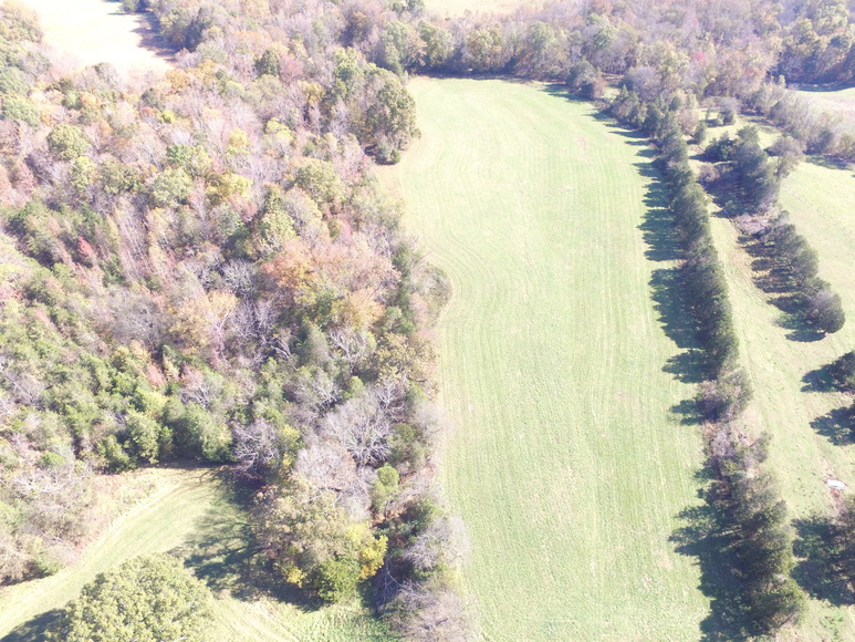 Image for Wyo Road, Farmington, NC Acreage