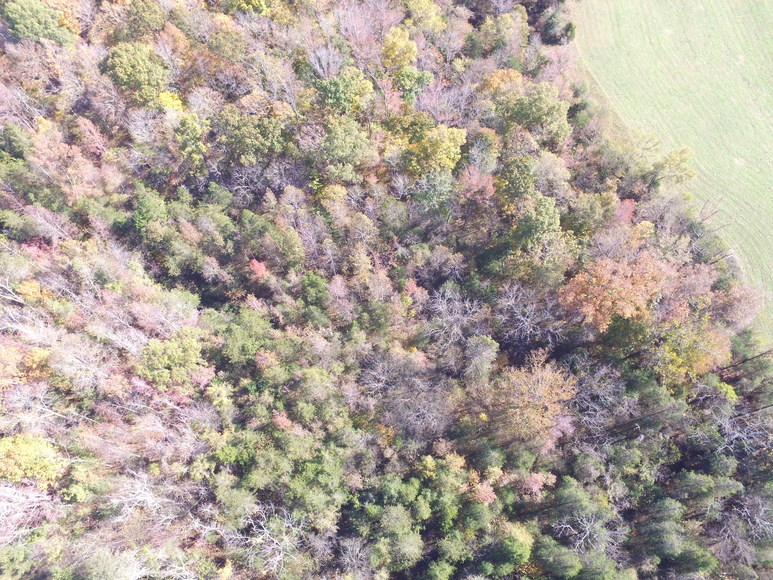 Image for Wyo Road, Farmington, NC Acreage