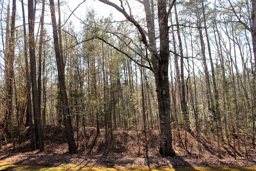 Image for 3+ Acre Wooded Corner Lake Gaston Building Lot w/Deeded Boat Slip--ONLINE ONLY BIDDING!!