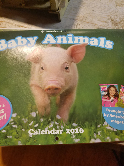 Image for DOLL COLECTION!