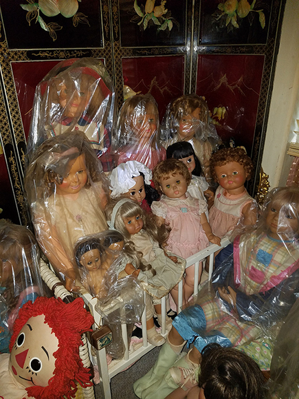 Image for DOLL COLECTION!