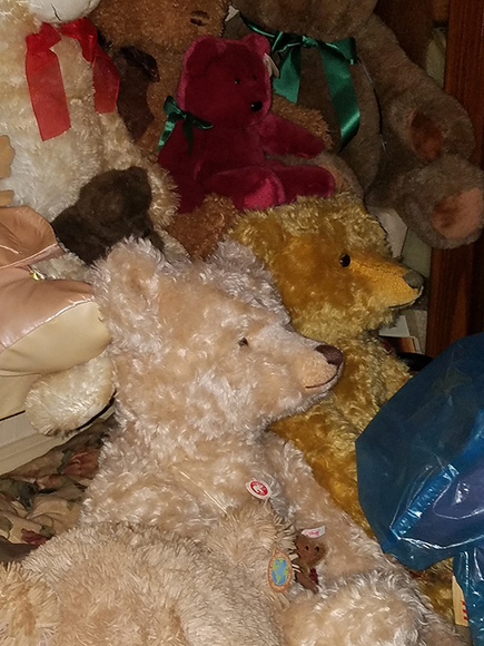 Image for DOLL COLECTION!