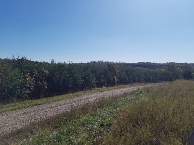 Image for Multi Land Auction in NC and VA