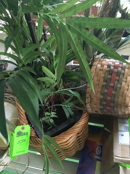 Image for The Living Estate Auction of Patricia Staton