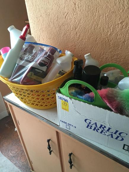 Image for The Living Estate Auction of Patricia Staton