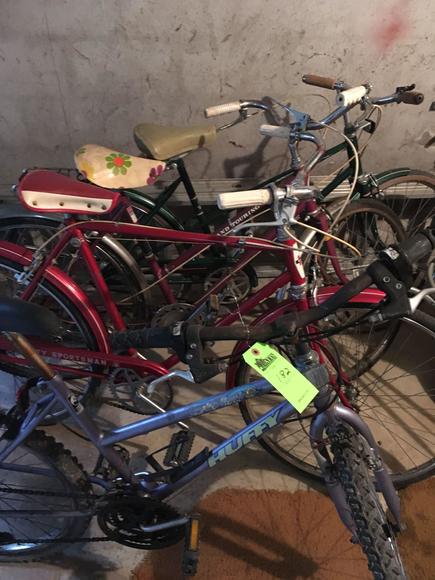 Image for The Living Estate Auction of Patricia Staton