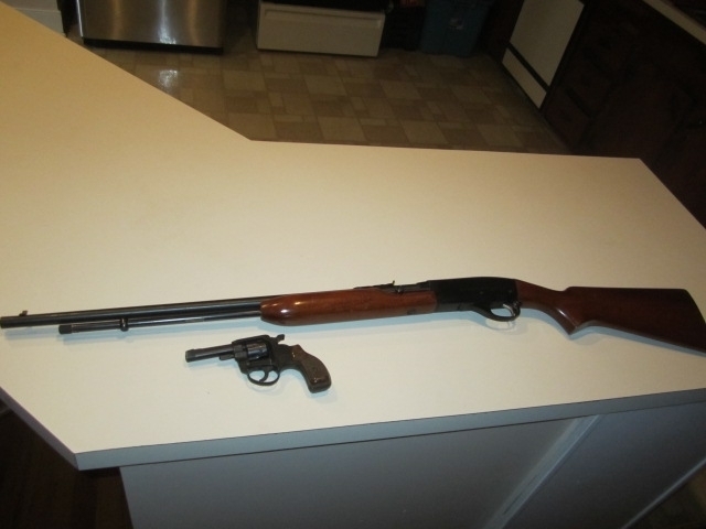 Image for Living Estate Auction  Robert & Virginia Seay