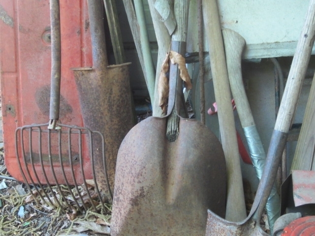 Image for Estate of Frank F. Smith