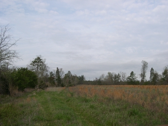 Image for Auctioning Three Tracts of Land on the Staunton River!