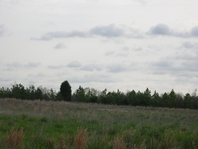 Image for Auctioning Three Tracts of Land on the Staunton River!